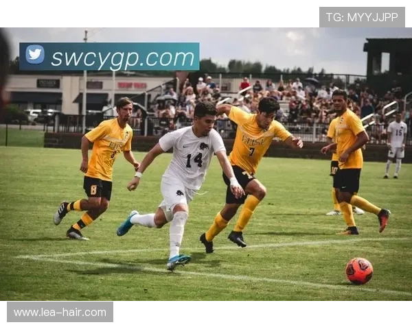 开云体育中文站提供高清流畅的赛事直播体验提升建议